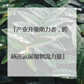 产业升级助力者，跨越速运展现物流力量