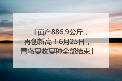 亩产886.9公斤，再创新高！6月25日，青岛夏收夏种全部结束