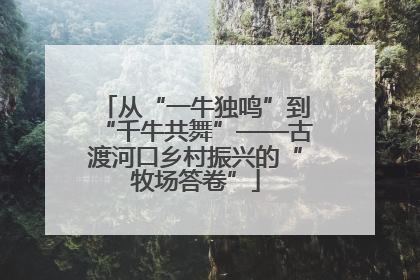 从“一牛独鸣”到“千牛共舞”——古渡河口乡村振兴的“牧场答卷”