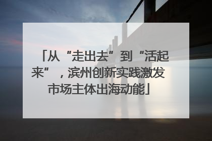 从“走出去”到“活起来”，滨州创新实践激发市场主体出海动能