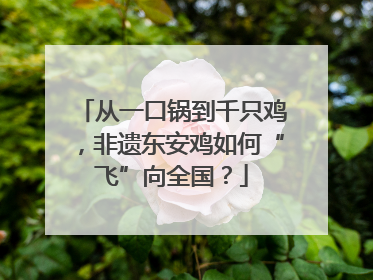 从一口锅到千只鸡，非遗东安鸡如何“飞”向全国？