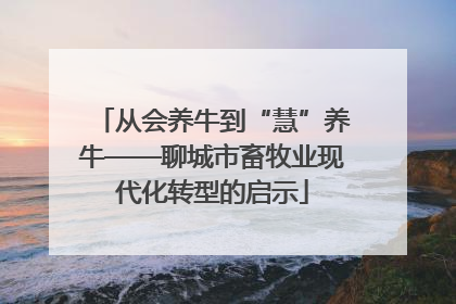 从会养牛到“慧”养牛——聊城市畜牧业现代化转型的启示