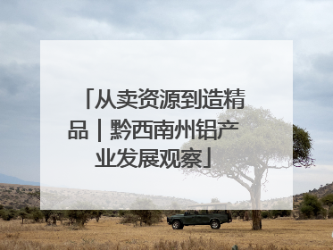 从卖资源到造精品｜黔西南州铝产业发展观察