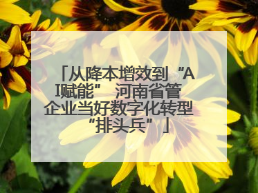 从降本增效到“AI赋能” 河南省管企业当好数字化转型“排头兵”