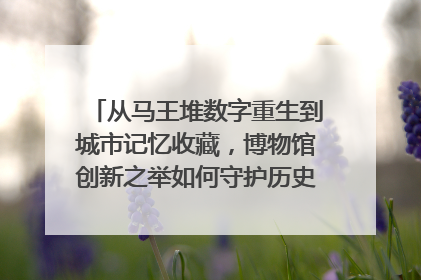 从马王堆数字重生到城市记忆收藏，博物馆创新之举如何守护历史、连接未来？