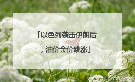 以色列袭击伊朗后，油价金价跳涨