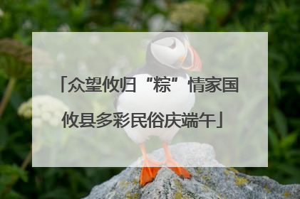 众望攸归“粽”情家国 攸县多彩民俗庆端午