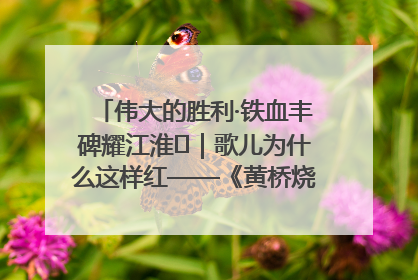 伟大的胜利·铁血丰碑耀江淮⑫｜歌儿为什么这样红——《黄桥烧饼歌》诞生记