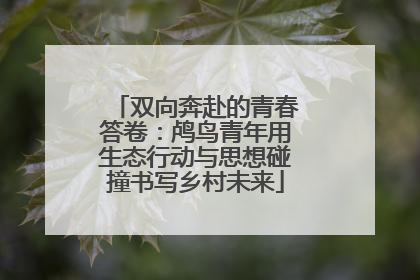 双向奔赴的青春答卷：鸬鸟青年用生态行动与思想碰撞书写乡村未来