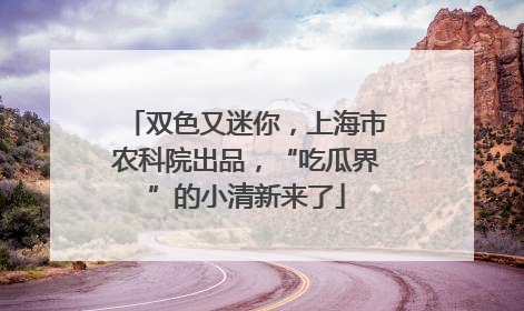 双色又迷你，上海市农科院出品，“吃瓜界”的小清新来了
