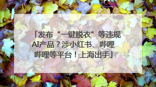 发布“一键脱衣”等违规AI产品？涉小红书、哔哩哔哩等平台！上海出手
