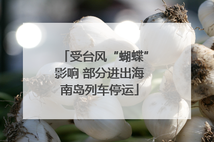 受台风“蝴蝶”影响 部分进出海南岛列车停运