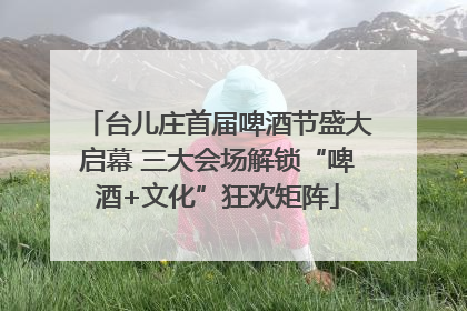台儿庄首届啤酒节盛大启幕 三大会场解锁“啤酒+文化”狂欢矩阵