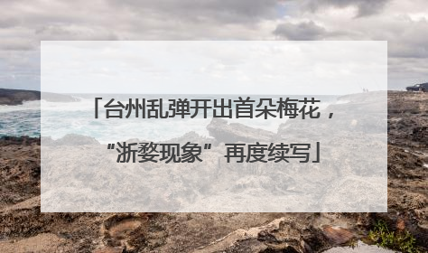 台州乱弹开出首朵梅花，“浙婺现象”再度续写