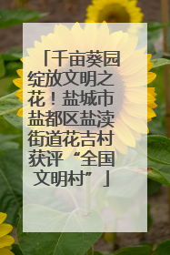 千亩葵园绽放文明之花！盐城市盐都区盐渎街道花吉村获评“全国文明村”