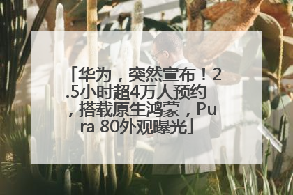 华为，突然宣布！2.5小时超4万人预约，搭载原生鸿蒙，Pura 80外观曝光