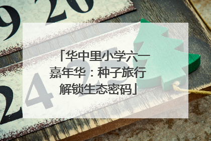 华中里小学六一嘉年华：种子旅行解锁生态密码
