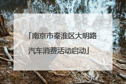 南京市秦淮区大明路汽车消费活动启动