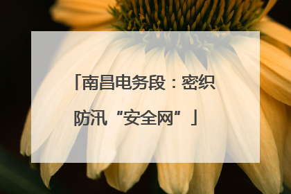 南昌电务段：密织防汛“安全网”