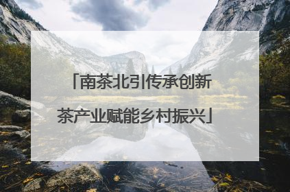 南茶北引传承创新 茶产业赋能乡村振兴