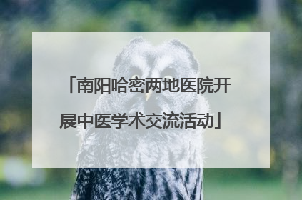 南阳哈密两地医院开展中医学术交流活动