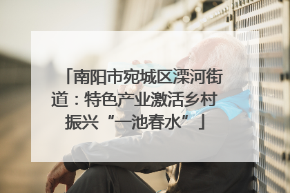 南阳市宛城区溧河街道：特色产业激活乡村振兴“一池春水”
