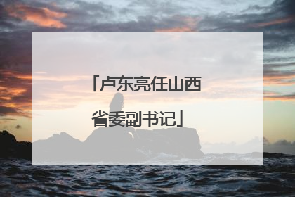 卢东亮任山西省委副书记