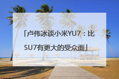 卢伟冰谈小米YU7：比SU7有更大的受众面
