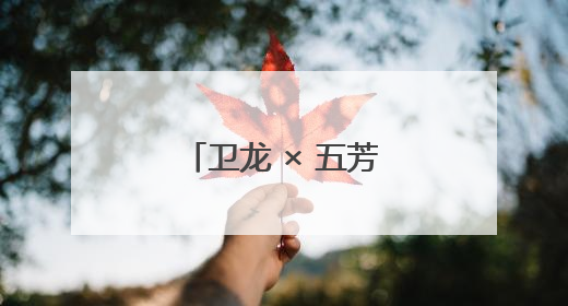 卫龙 × 五芳斋跨界联名：辣条粽横空出世，端午市场掀狂澜