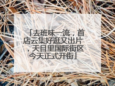 去班味一流，首店云集好逛又出片，天目里国际街区今天正式开街