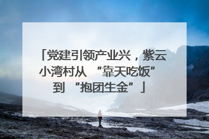 党建引领产业兴，紫云小湾村从 “靠天吃饭” 到 “抱团生金”
