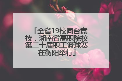 全省19校同台竞技，湖南省高职院校第二十届职工篮球赛在衡阳举行