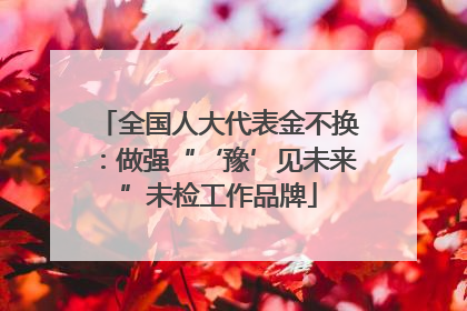 全国人大代表金不换：做强“‘豫’见未来”未检工作品牌