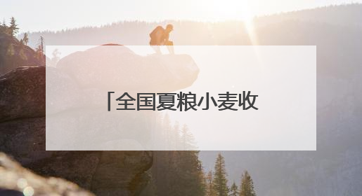 全国夏粮小麦收获进度过半 河北冬小麦大规模机收全面启动