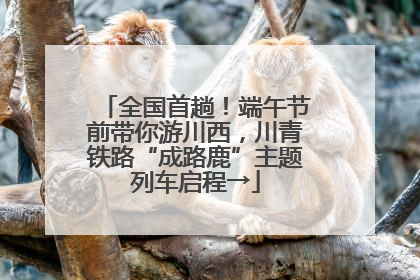 全国首趟！端午节前带你游川西，川青铁路“成路鹿”主题列车启程→
