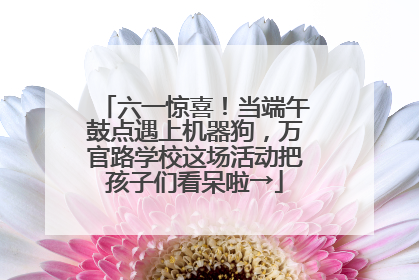 六一惊喜！当端午鼓点遇上机器狗，万官路学校这场活动把孩子们看呆啦→