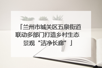 兰州市城关区五泉街道联动多部门打造乡村生态景观“洁净长廊”