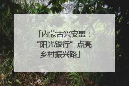 内蒙古兴安盟：“阳光银行”点亮乡村振兴路