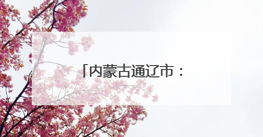 内蒙古通辽市：项目浪潮涌动，创新驱动未来