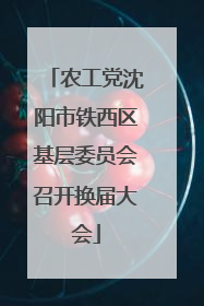 农工党沈阳市铁西区基层委员会召开换届大会