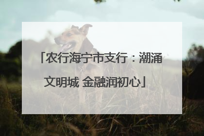 农行海宁市支行：潮涌文明城 金融润初心