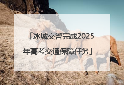 冰城交警完成2025年高考交通保障任务