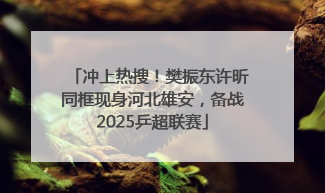 冲上热搜！樊振东许昕同框现身河北雄安，备战2025乒超联赛