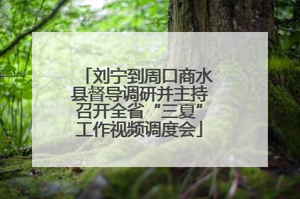 刘宁到周口商水县督导调研并主持召开全省“三夏”工作视频调度会