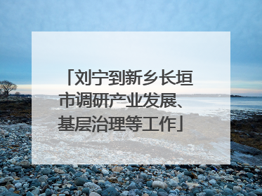 刘宁到新乡长垣市调研产业发展、基层治理等工作