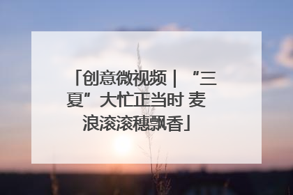 创意微视频｜“三夏”大忙正当时 麦浪滚滚穗飘香