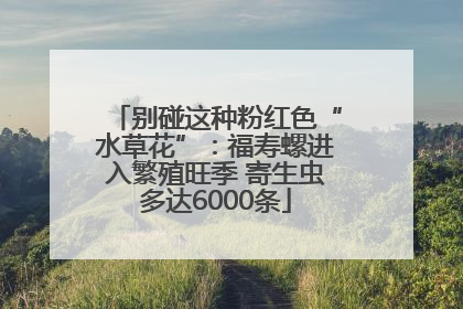 别碰这种粉红色“水草花”：福寿螺进入繁殖旺季 寄生虫多达6000条