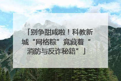 别争甜咸啦！科教新城“网格粽”竟藏着“消防与反诈秘籍”