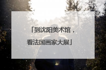 到沈阳美术馆，看法国画家大展
