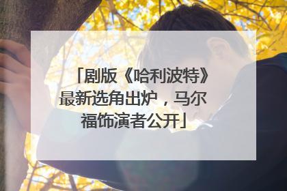 剧版《哈利波特》最新选角出炉，马尔福饰演者公开